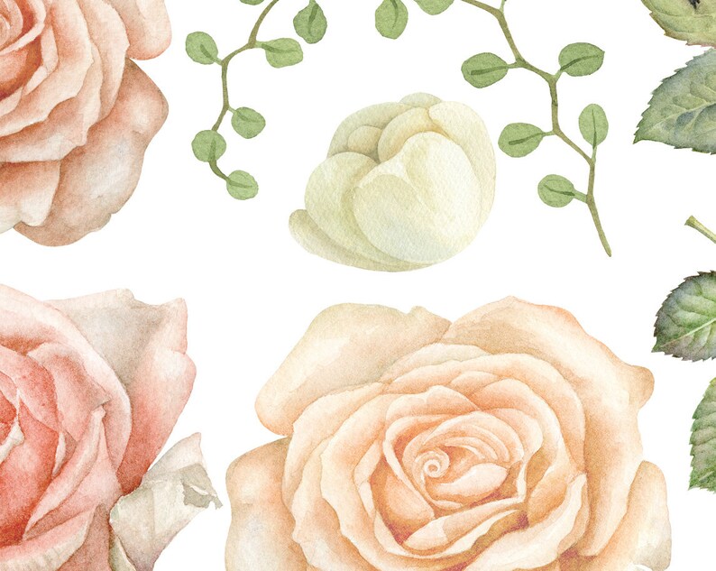 May include: Watercolor illustration of delicate peach and cream roses with green leaves and stems. The roses are arranged in a repeating pattern on a white background.