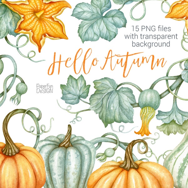 Watercolor pumpkin clip art. Thanksgiving autumn clip art. Fall harvest, hand painted floral illustration. High resolution PNG file.