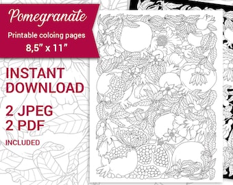 PDF, JPEG Digital Adult Coloring Book, Floral Arrangements, Botanical Printable Coloring Page, Pomegranate, Garnet. Valentine coloring page