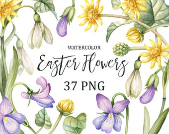 Easter Flowers Clipart, Spring Watercolor Flower Clip Art, Viola, Snowdrops, Hand Painted High quality Spring Flowers. Commercial use.
