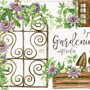 Acquerello Rusty giardinaggio 5 singoli PNG con fiori di frutto della passione. Clipart arrugginito in stile francese. ClipArt per annaffiatoio dipinte a mano.