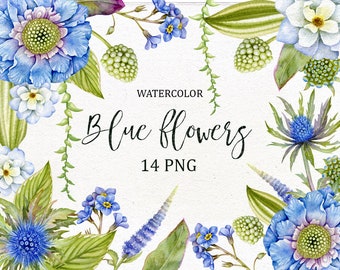 Watercolor individual PNG. Blue flowers clip art, Floral Clipart,Digital Floral Clipart.