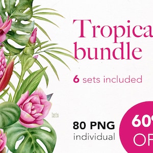 Imágenes prediseñadas de paquete tropical. Acuarela pintada archivos PNG individuales de alta resolución. Flores de curcuma, hojas tropicales, hojas de palma.