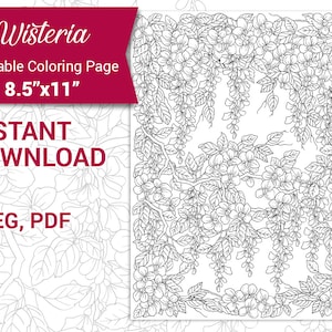 Printable Adult Coloring Page PDF and JPEG. Digital Wisteria Flowers ...