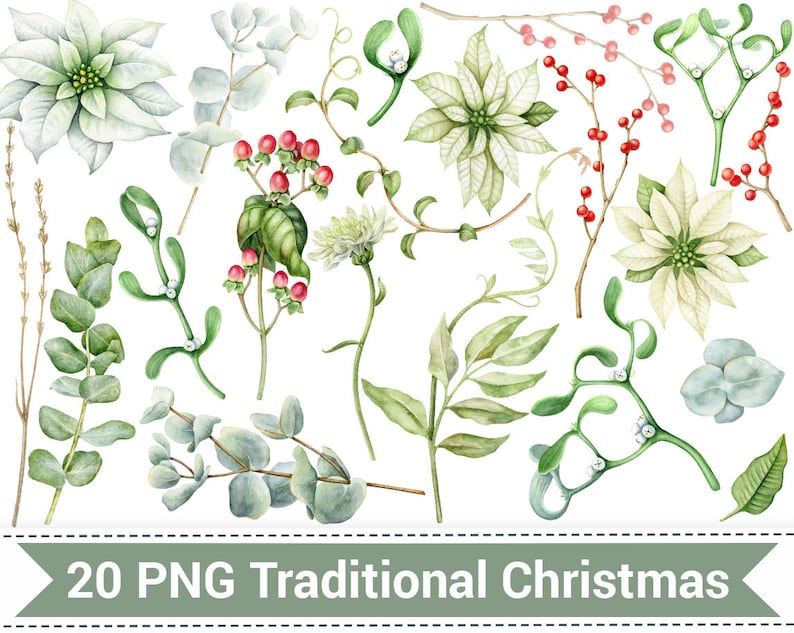 Mistletoe White Poinsettia Merry Christmas Clipart Eucaliptus Traditional Christmas Watercolor Clip Art