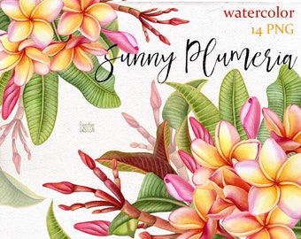 Watercolor Plumeria clip art. Tropical  summer wedding flowers and leaves PNG. Hawaii clipart. Hand painted. Commercial use.
