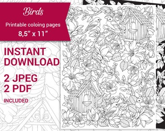 PDF, JPEG Printable adult coloring page. Digital birds and flowers, floral coloring page 8.5''x11''