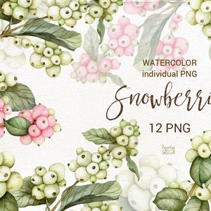 Aquarel witte en roze sneeuwbessen illustraties. Winter bruiloft handgeschilderde clipart.