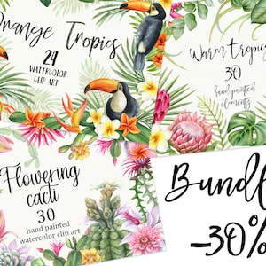 Lot de 3 aquarelles Tropiques, 3 sets inclus. Feuilles tropicales, toucan, plumeria, protéa, feuille de palmier, eucaliptus, fougère.