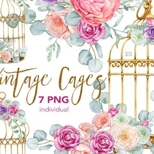 Gabbie per uccelli dorate boho. Singoli file PNG dell'acquerello. Composizioni floreali romantiche. Fiori rosa e viola, foglie di eucalipto, ghirlanda.