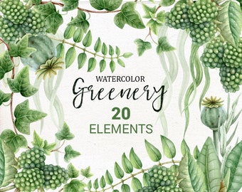 WILD GREENERY BOTANICALS, Gedempte aquarel illustratie, Groen Clipart, moderne illustraties, Groenen, Gebladerte, Bosbladeren. Commercieel gebruik