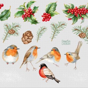 Watercolor Christmas Clipart. Winter Robin Birds, Holly Leaves and ...