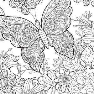 PDF, JPEG Printable Adult Coloring Page. Digital Butterflies and ...