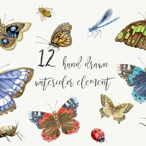 Watercolor Butterflies. Individual Summer Clipart. Insect PNG. Hand Painted Clip Art.