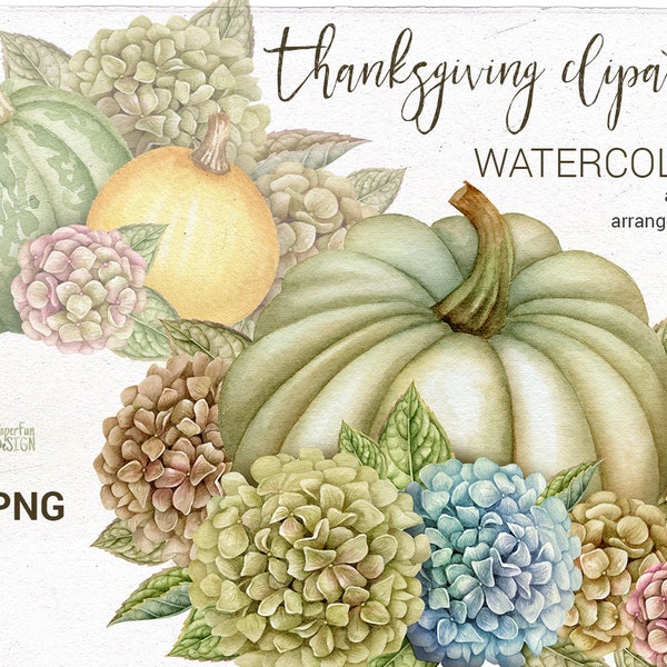 Watercolor Harvest clipart. Hand painted Thanksgiving arrangement. Autumn digital clip art. Pumpkins, dry Hydrangea, fall berries.