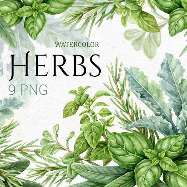 Green Herbs watercolor clip art. Kitchen clipart.