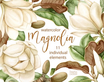 Watercolor white magnolia flowers clip art. Spring wedding flower clipart. Watercolour botanical painting. Commercial use.