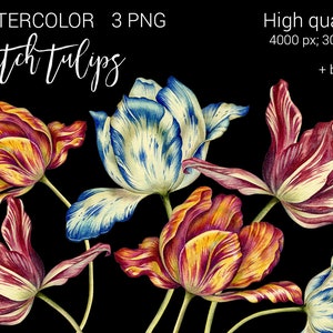 Acuarela holandesa Tulipanes Clip Art, Azul pintado a mano, Naranja, Loro, Tulipanes Clipart, Clipart floral Scrapbooking, Flores de primavera.