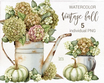 Watercolor fall arrangements with pumpkins, hydrangeas, snowberries. Autumn farmhouse clipart. Vintage Thanksgiving clip art.