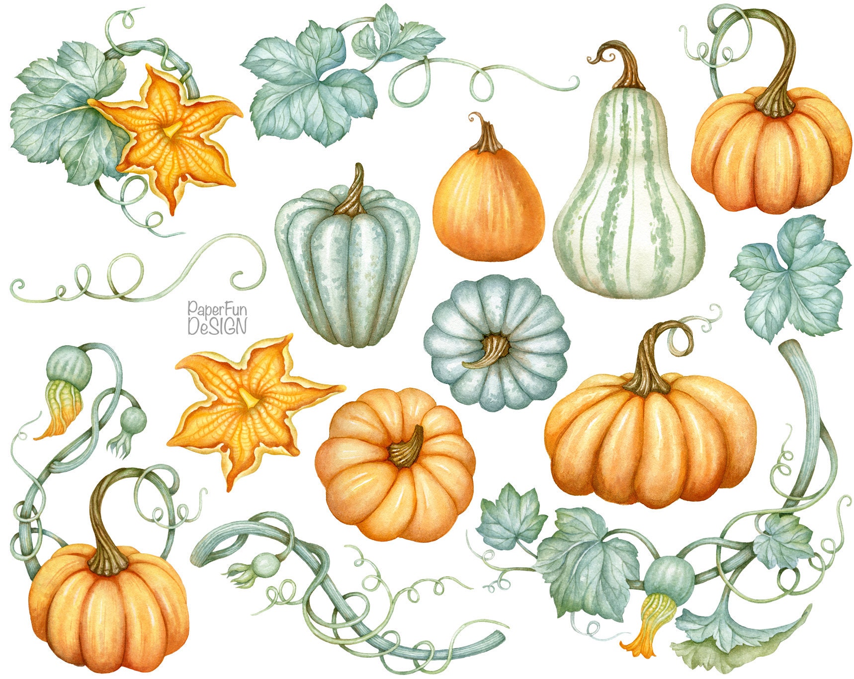 Watercolor Pumpkin Clip Art. Thanksgiving Autumn Clip Art. - Etsy