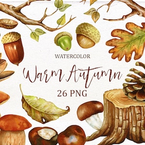 Fall forest watercolor clip art. Autumn woodland clipart.