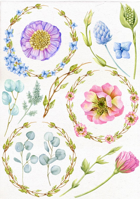 Clipart floral de acuarela. Imágenes prediseñadas de flores - Etsy México Clipart floral de acuarela. Imágenes prediseñadas de flores - Etsy México