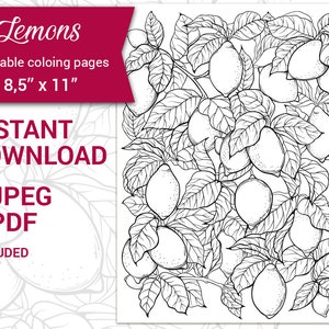 PDF, JPEG Printable adult coloring page. Botanical printable coloring page. Citrus fruit, Lemons, Summer. Fruit and leaves coloring.