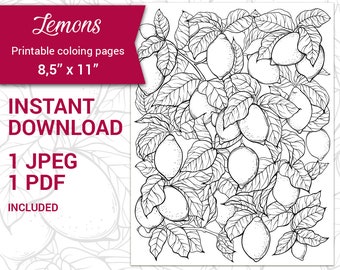 PDF, JPEG Printable adult coloring page. Botanical printable coloring page. Citrus fruit, Lemons, Summer. Fruit and leaves coloring.