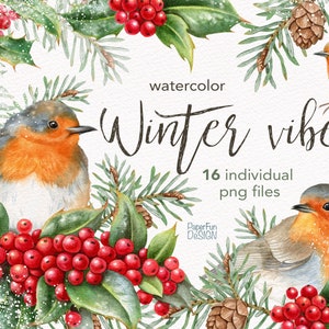 Clipart de Noël à l’aquarelle. Oiseaux de merle d'hiver, feuilles et baies de houx, clipart de pomme de pin. Conceptions de vacances par sublimation, PNG imprimable.