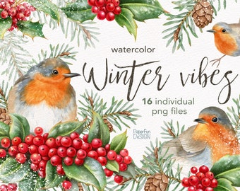 Watercolor Christmas clipart. Winter Robin birds, Holly leaves and berries, pine cone clip art. Sublimation holiday designs, printable PNG.