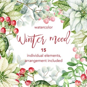 Aquarell Weihnachtscliparts. Individuelle PNG-Dateien und Blumenarrangement. Weiße Weihnachtssternblüten, rote Beeren. Winterurlaub ClipArt.