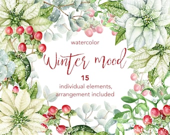 Watercolor Christmas clipart. Individual PNG files and floral arrangement. White poinsettia flowers, red berries. Winter holiday clip art.