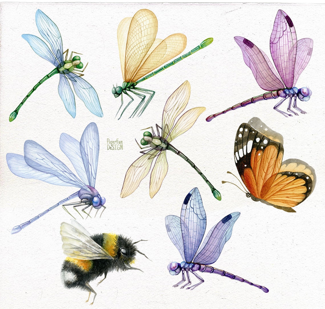 Dragonfly Individual PNG Bumble Bee Butterfly Summer | Etsy