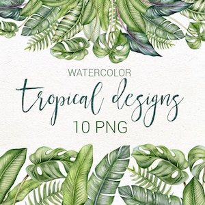 Aquarell Tropisch Clip Art, Blumenrahmen Clipart, Tropisches Laub, Tropischer Hintergrund, Aquarell Blumenrand.
