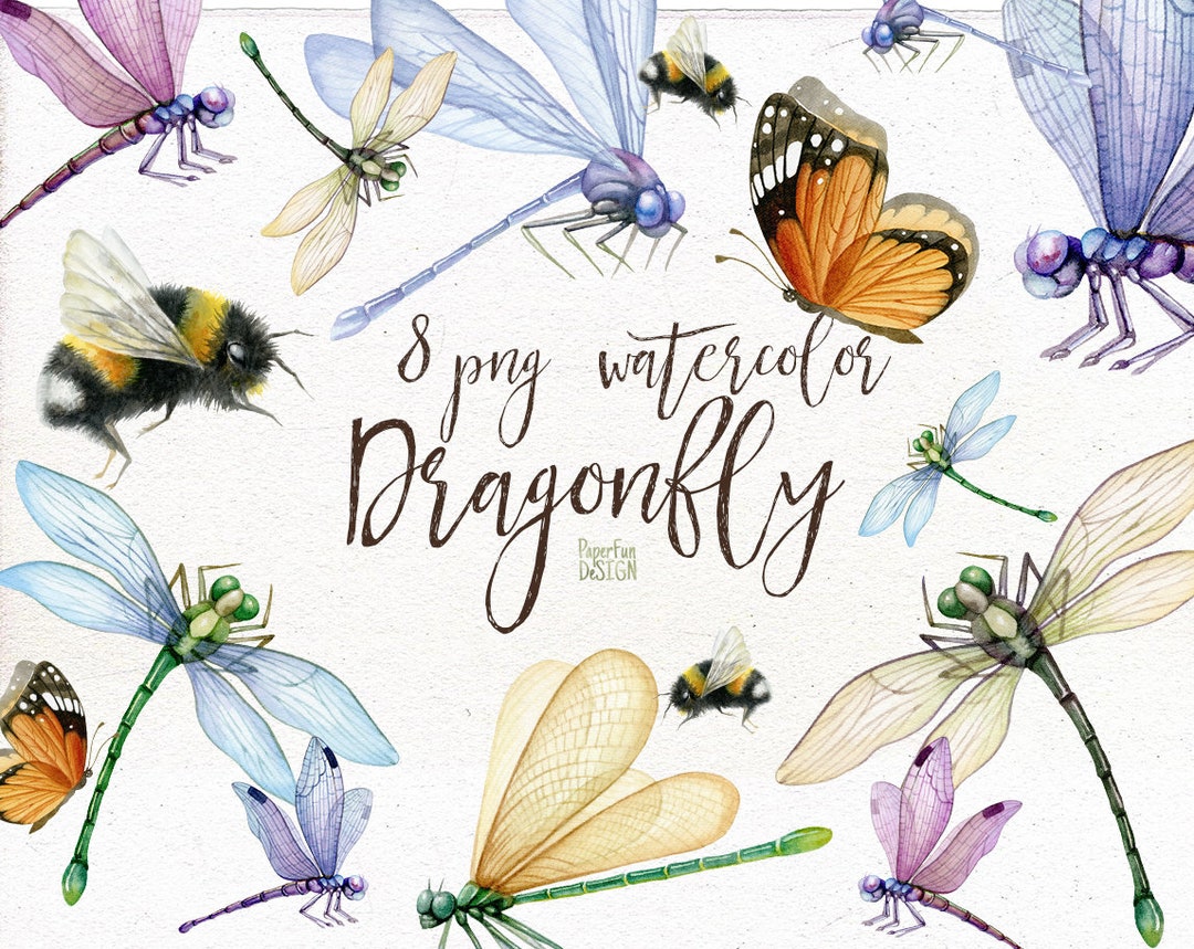 Dragonfly Individual PNG, Bumble Bee, Butterfly Summer Clipart. Insect ...