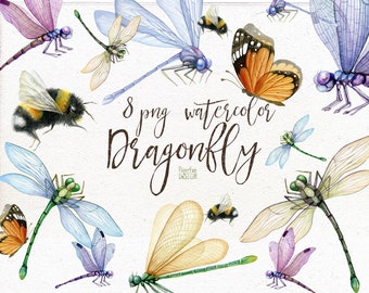Dragonfly individual PNG, Bumble bee, Butterfly Summer Clipart. Insect PNG. Hand Painted Clip Art.
