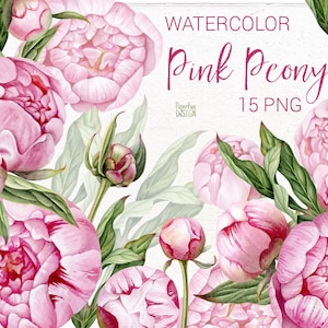 Pfingstrose Blumen Clipart. Boho Pfingstrosen. Handgemaltes Aquarell Blumen, Hochzeitseinladung, DIY Elemente, laden ein. Kommerzielle Nutzung.