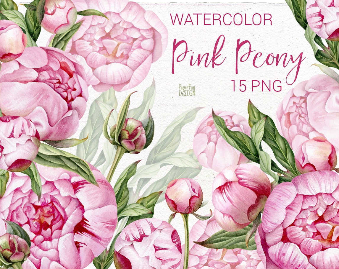 WEDDING CLIPART floral clipart DIY clipart wedding invitations separate flowers handpainted flowers Watercolor peonies flowers clipart