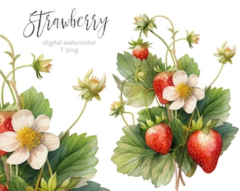 Strawberries Digital Watercolor clipart. AI illustration. Summer berries clip art. Instant download. Commercial use.