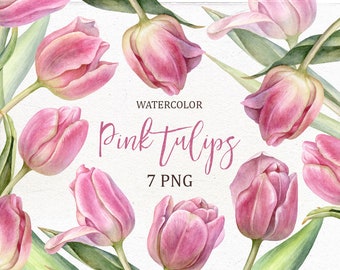 Watercolor individual PNG. Tulip Clip Art, Hand Painted Tulips, Pink Tulips Clipart, Scrapbooking clipart, Spring flowers, Blossom.