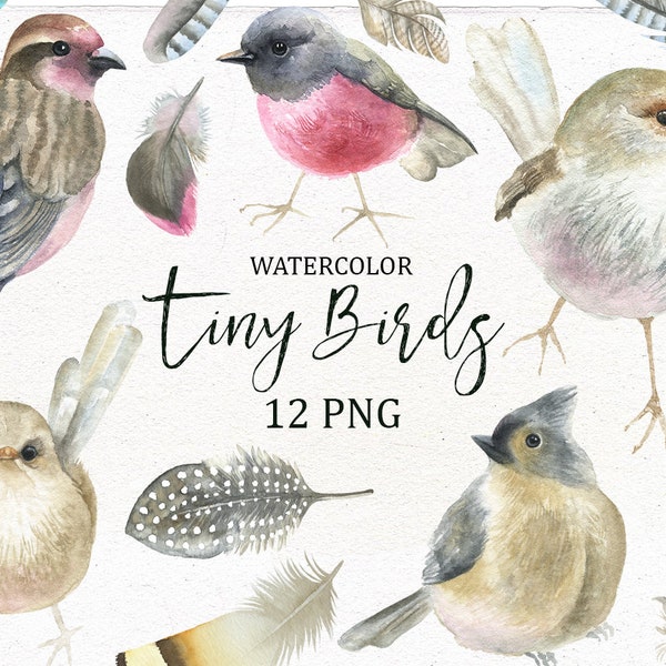 Watercolour tiny birds PNG. Individual feathers, nature, bird clip art. Hand painted birds digital clipart. Commercial use OK.