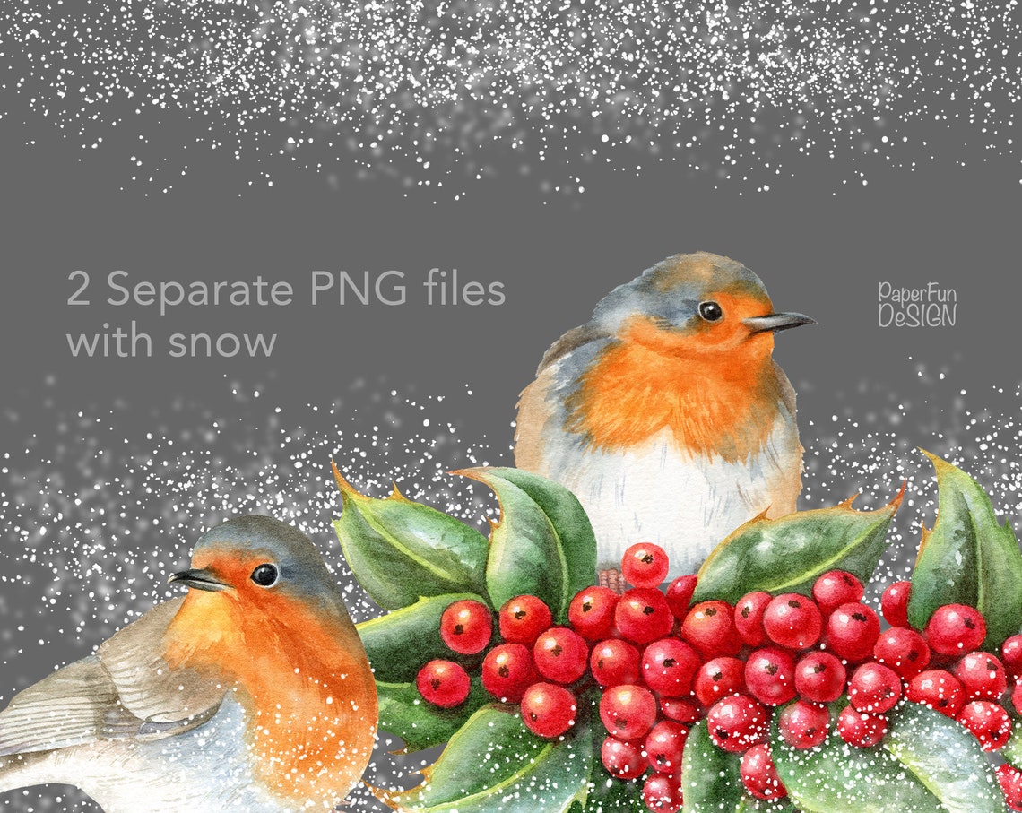 Watercolor Christmas Clipart. Winter Robin Birds, Holly Leaves and ...