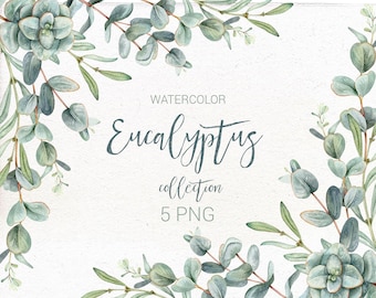 Watercolor eucalyptus arrangement. Greenery Clip Art, Eucalyptus leaves, Wedding Watercolor Greenery, DIY clipart.