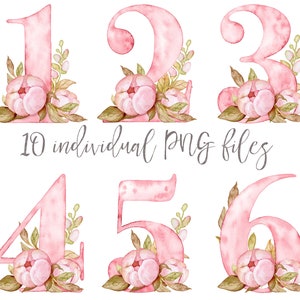 Aquarell Numbers Clipart, Floral Nummer Clip Art. Pink Girls einzelne PNG Dateien Sofortdownload, hohe Auflösung. P1