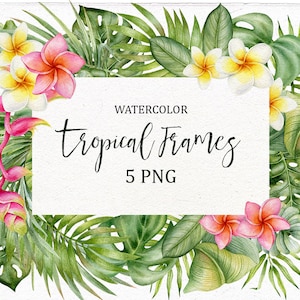 ClipArt tropicale dell'acquerello, Clipart cornice floreale, fogliame tropicale, sfondo tropicale, bordo floreale dell'acquerello, Plumeria, fiori.