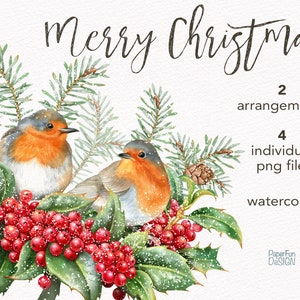 Arrangiamenti digitali natalizi ad acquerello. ClipArt invernali ad acquerello, Robin, Agrifoglio, Pigna, clipart di neve. File PNG individuale stampabile