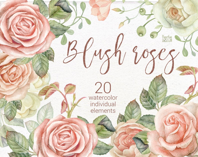 May include: Watercolor illustration of 20 blush pink roses with green leaves. The text "Blush Roses" is written in brown cursive script. The text "20 watercolor individual elements" is written in black.