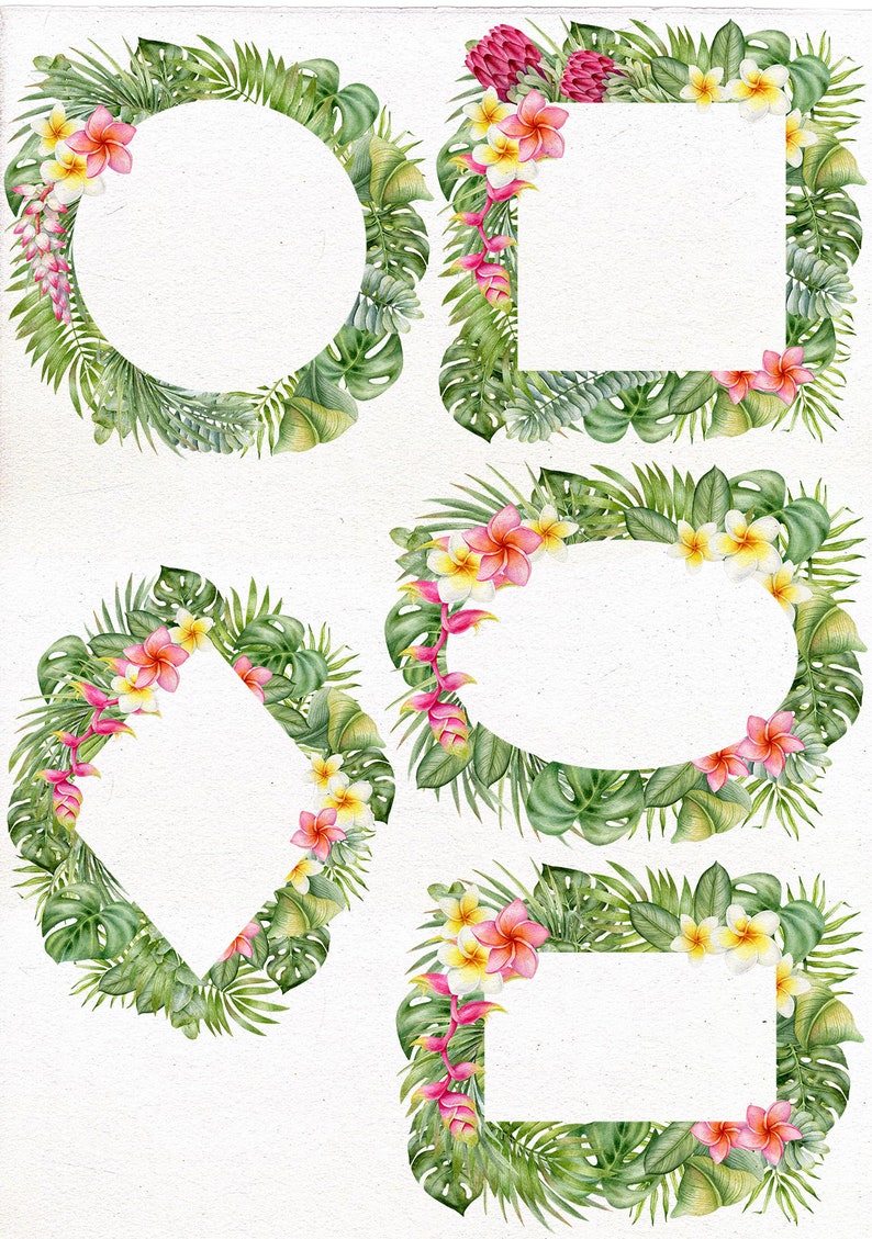 Watercolor Tropical Clip Art Flowers. Floral Frame Clipart Watercolor Floral Border Tropical Foliage Plumeria Tropical Background