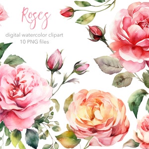 Rose Blume Digital Aquarell Clipart. AI-Illustration. Romantische Rosen Clip Art. Sofortiger Download. Kommerzielle Nutzung.