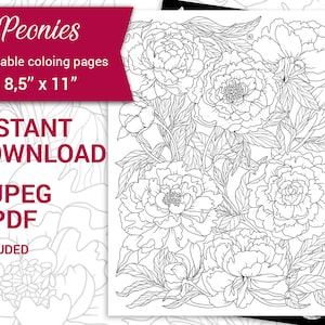 PDF, JPEG  Digital Adult Coloring Book, Floral Arrangements, Botanical Printable Coloring Page, Peony Flower.  Coloring page 8,5&#39;&#39; x 11&quot;